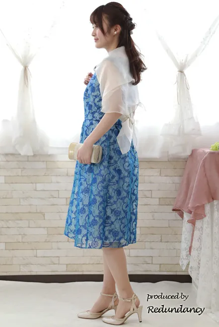 ブルーのオーガンジー刺繍ドレス