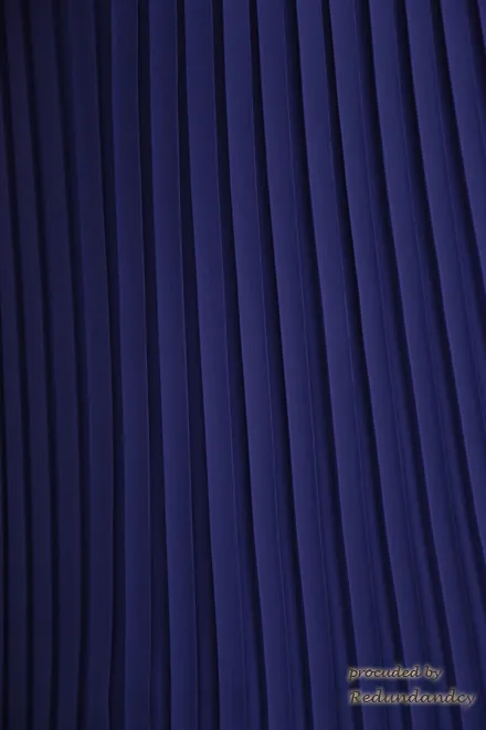 パープルの細プリーツ膝丈ドレス