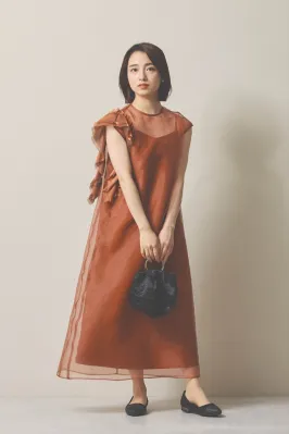シアー素材のブラウンドレス