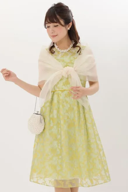 イエローのオーガンジー刺繍ドレス