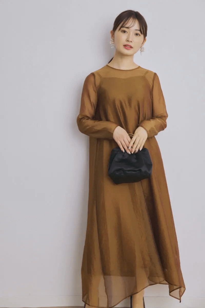 ブラウンのシアーオーガンジードレス