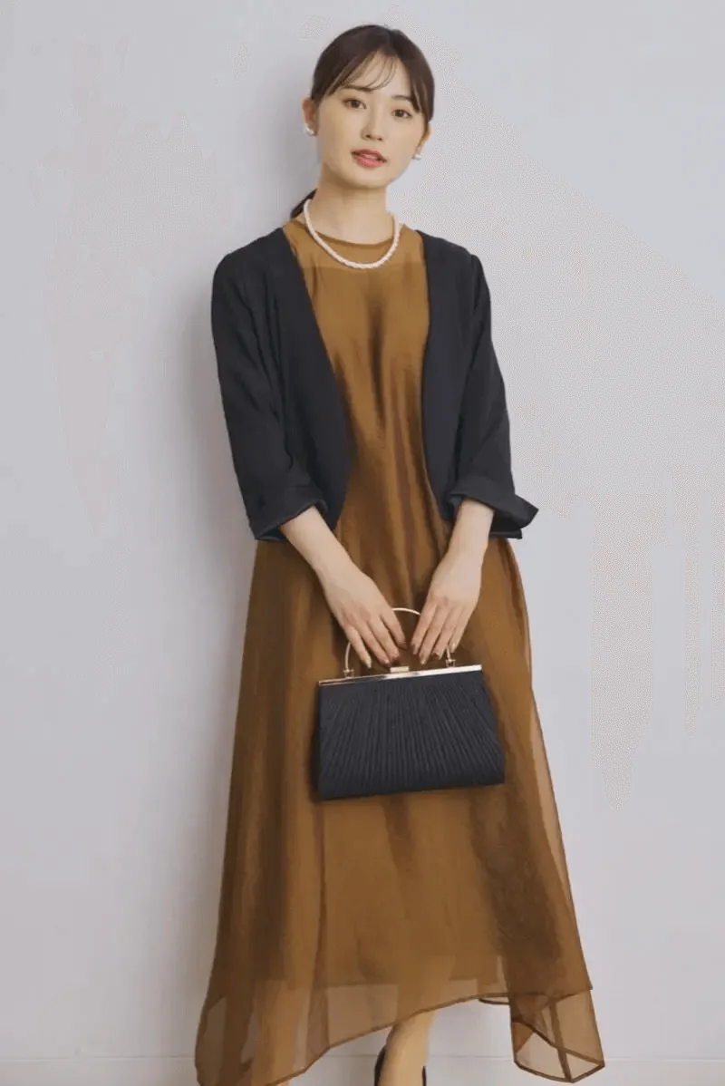 ブラウンのシアーオーガンジードレス