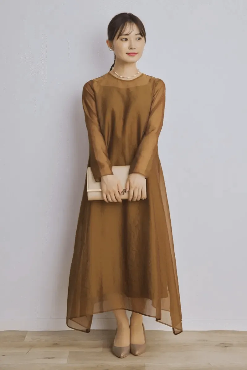 ブラウンのシアーオーガンジードレス