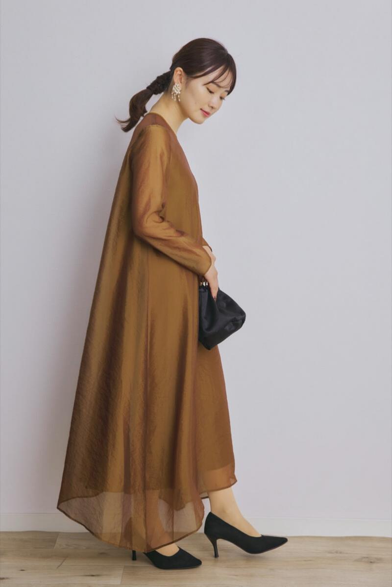 ブラウンのシアーオーガンジードレス