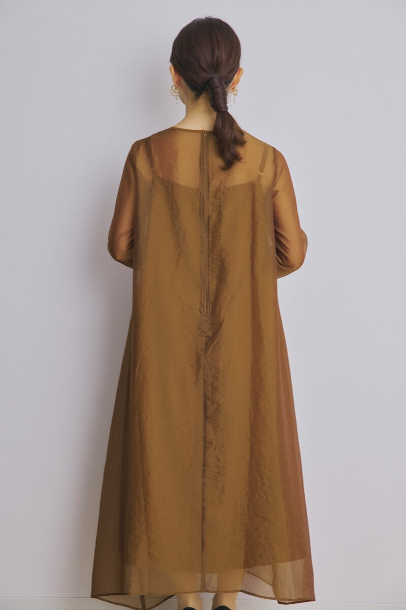 ブラウンのシアーオーガンジードレス