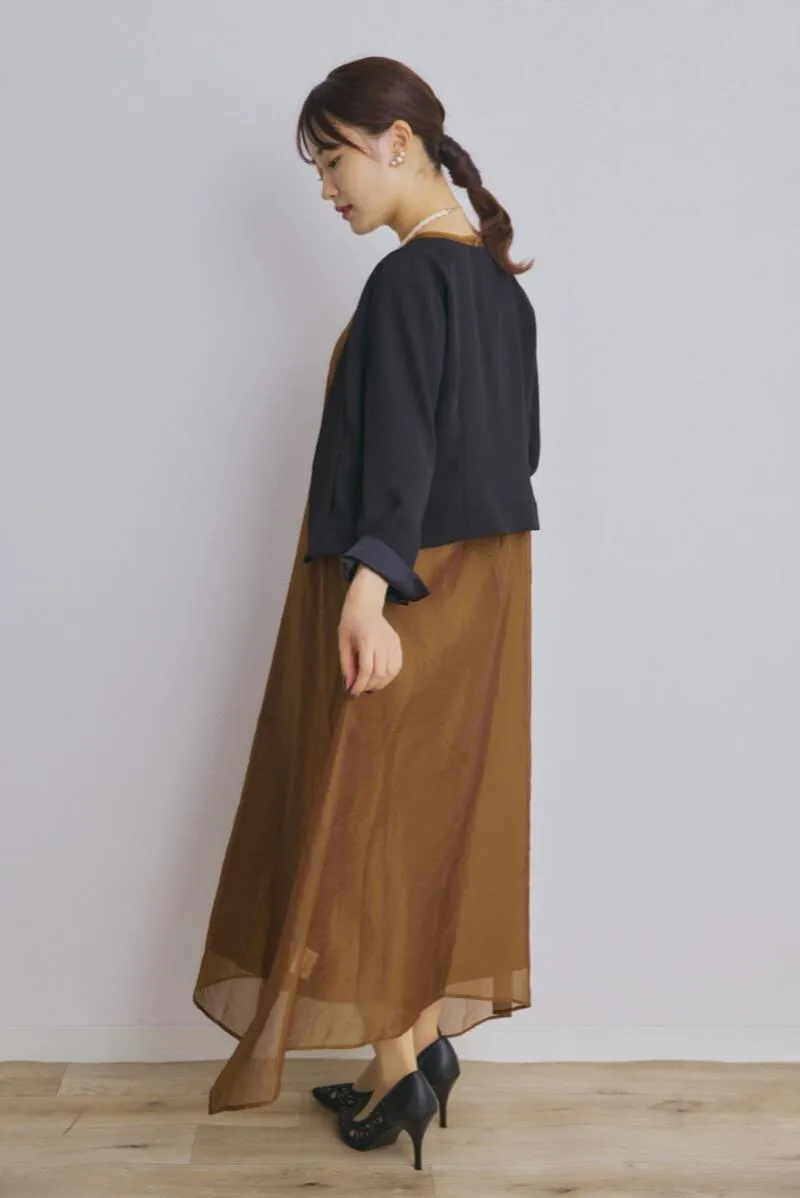 ブラウンのシアーオーガンジードレス