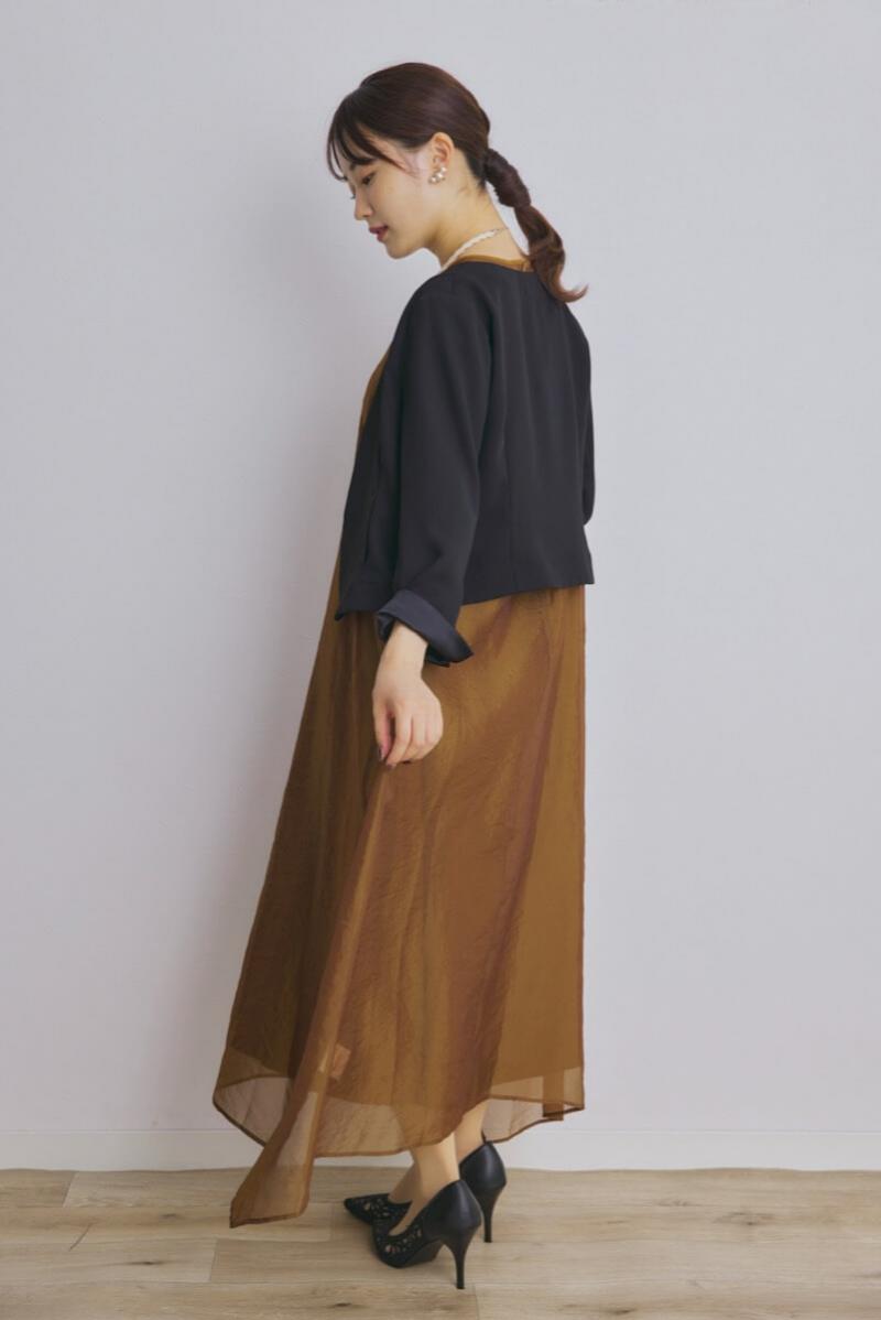 ブラウンのシアーオーガンジードレス