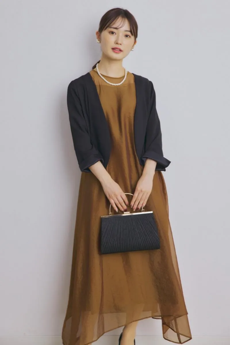 ブラウンのシアーオーガンジードレス