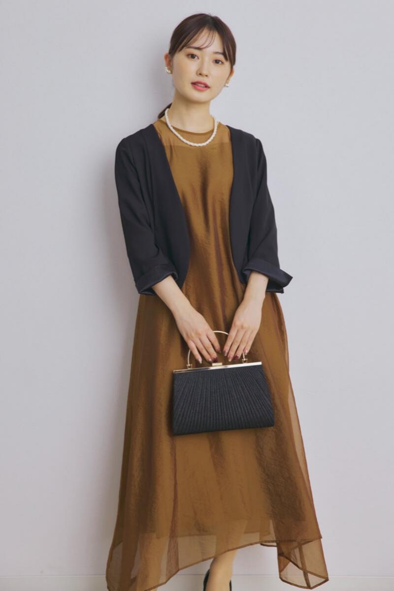 ブラウンのシアーオーガンジードレス