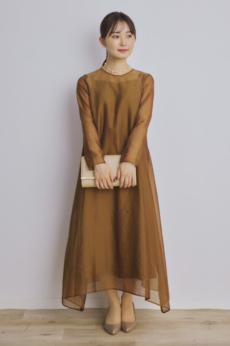 ブラウンのシアーオーガンジードレス