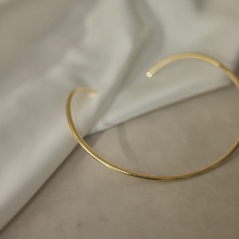 ゴールドのメタルチョーカー×スネークネックレス