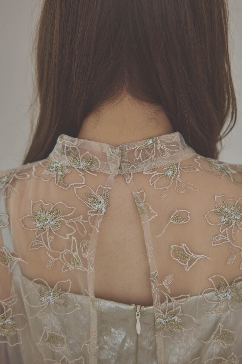 ベージュの刺繍トップス付きシャイニードレス