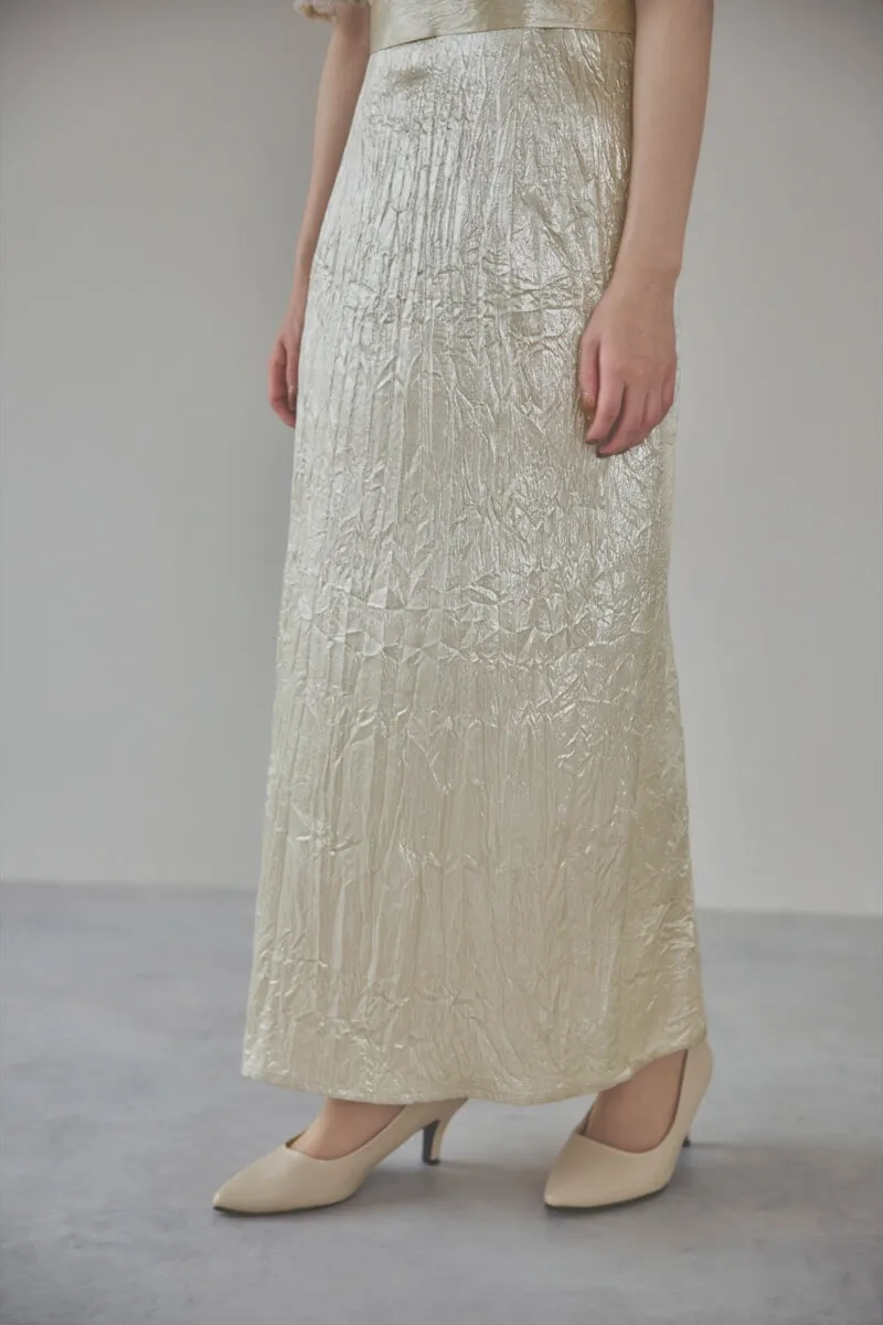 ベージュの刺繍トップス付きシャイニードレス