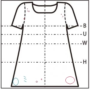 正面図