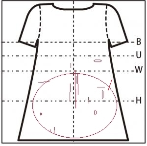 背面図
